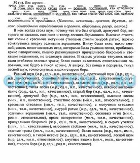 Стоял шум