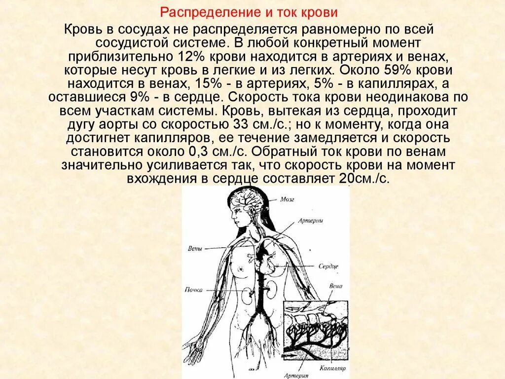 Задержка тока крови латынь. Распределение крови по сосудистой системе. Распределение крови в сосудах. Распределение и ток крови. Скорость крови в венах и артериях.