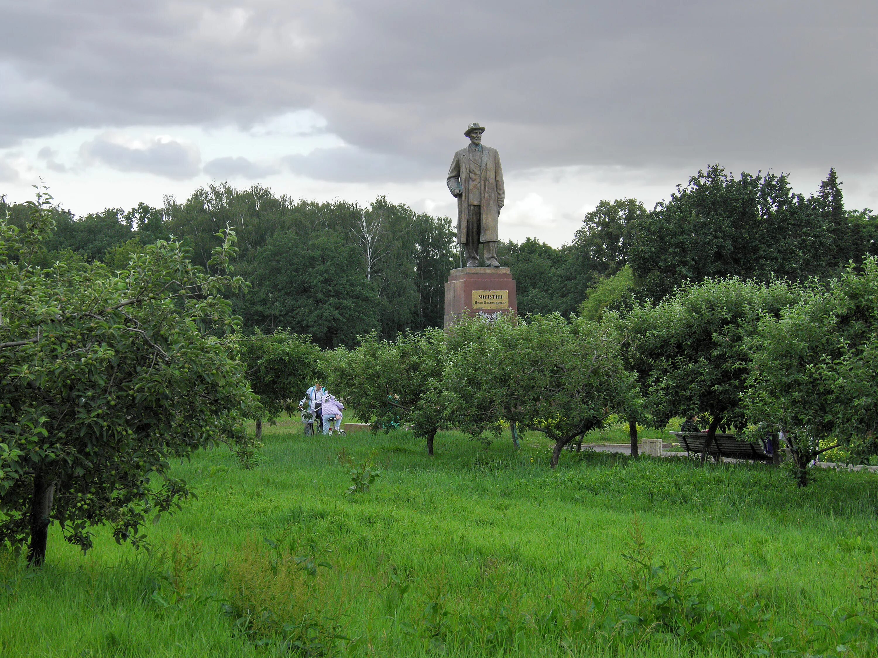 Мичуринские сады мичуринск