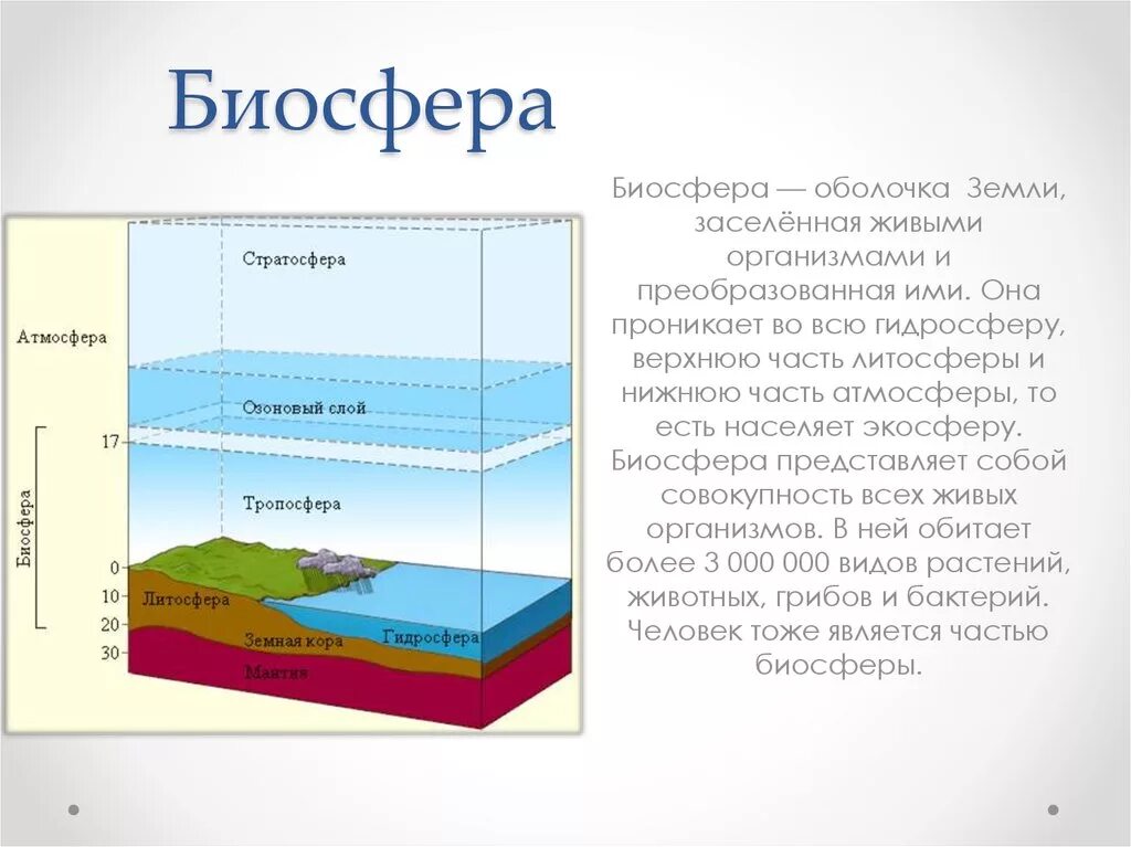 Биосфера инфоурок