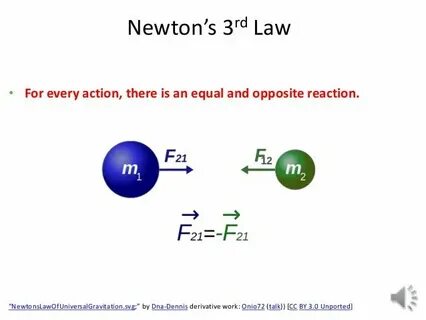 Newton 3