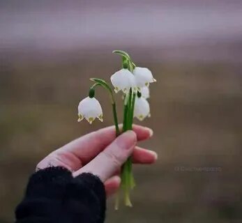 Начинаем ждать весну