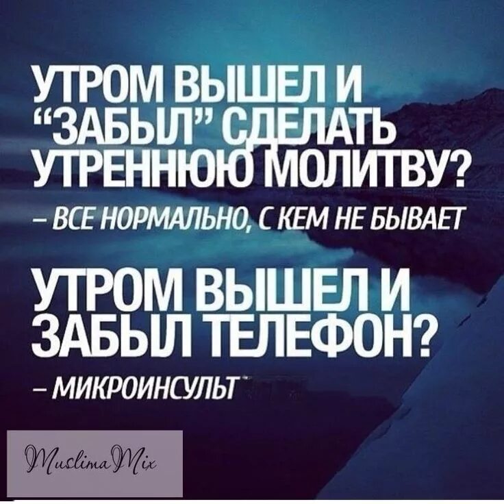 Мусульманский статус смыслом