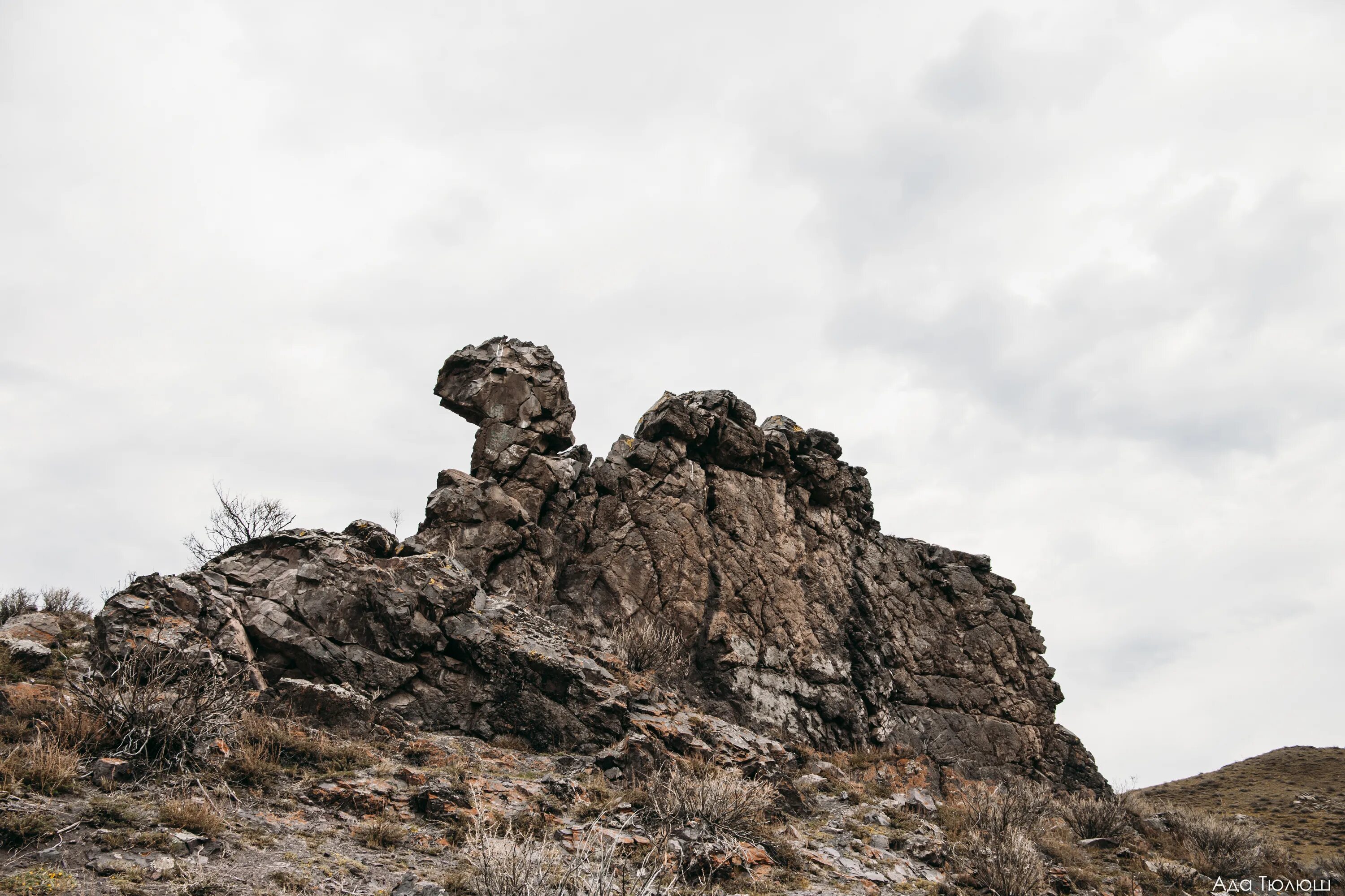 Село теве хая республики тыва. Скалы верблюды тыва. Село теве хая республики тыва. Теве-хая. "юрюнг-хаинская средняя общеобразовательная школа".