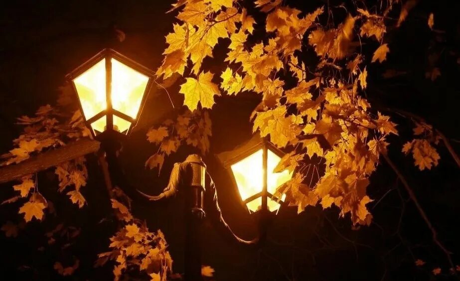 Осень ночь. Осенний вечер. Вечерний листопад. Сентябрь вечер. Конец сентября вечер
