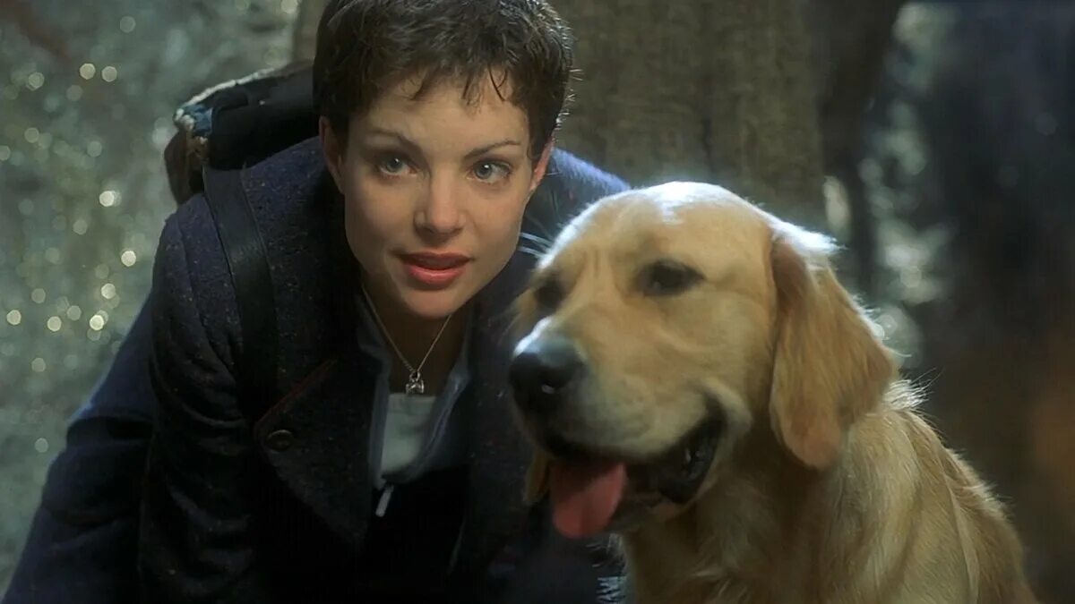 10е королевство сериал. Тридевятое королевство сериал. Скотт коэн волк. Десятое королевство сериал. 9 королевство сериал.