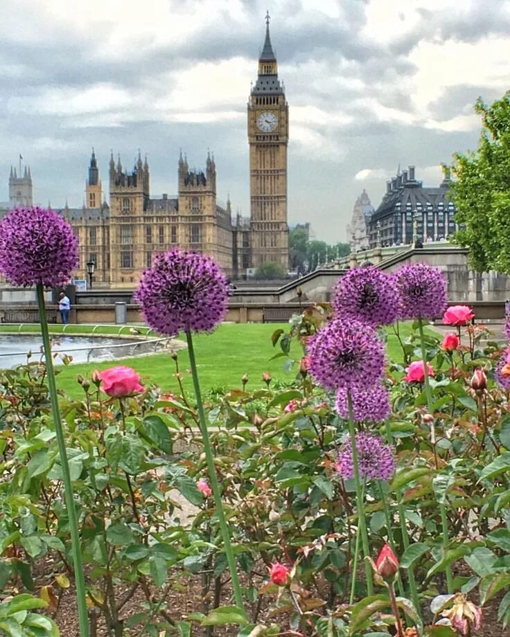 Англия замект. Англия Кромере. Англия Leto. Plant england