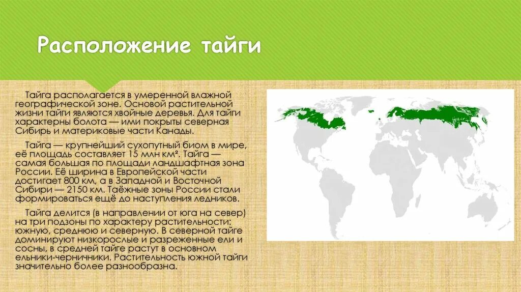 На каких территориях расположена тайга. Расположение тайги. Географическое положение тайги. Географическое положение тайги на карте. Расположение зоны тайги.