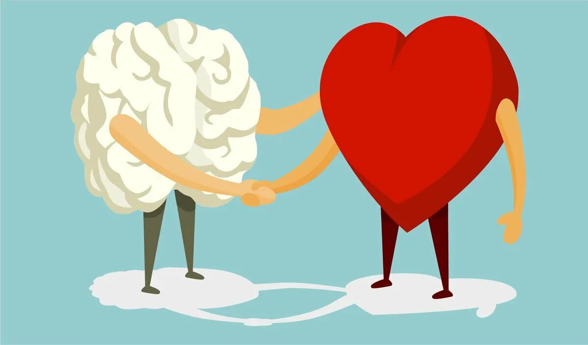 Мозг и сердце дружат. Сердце и разум. Мозг и сердце. Мозг и сердце вместе.