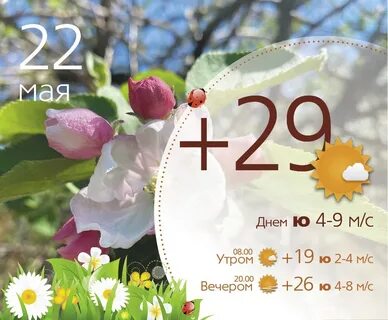 Погода в салавате на ноябрь 2024