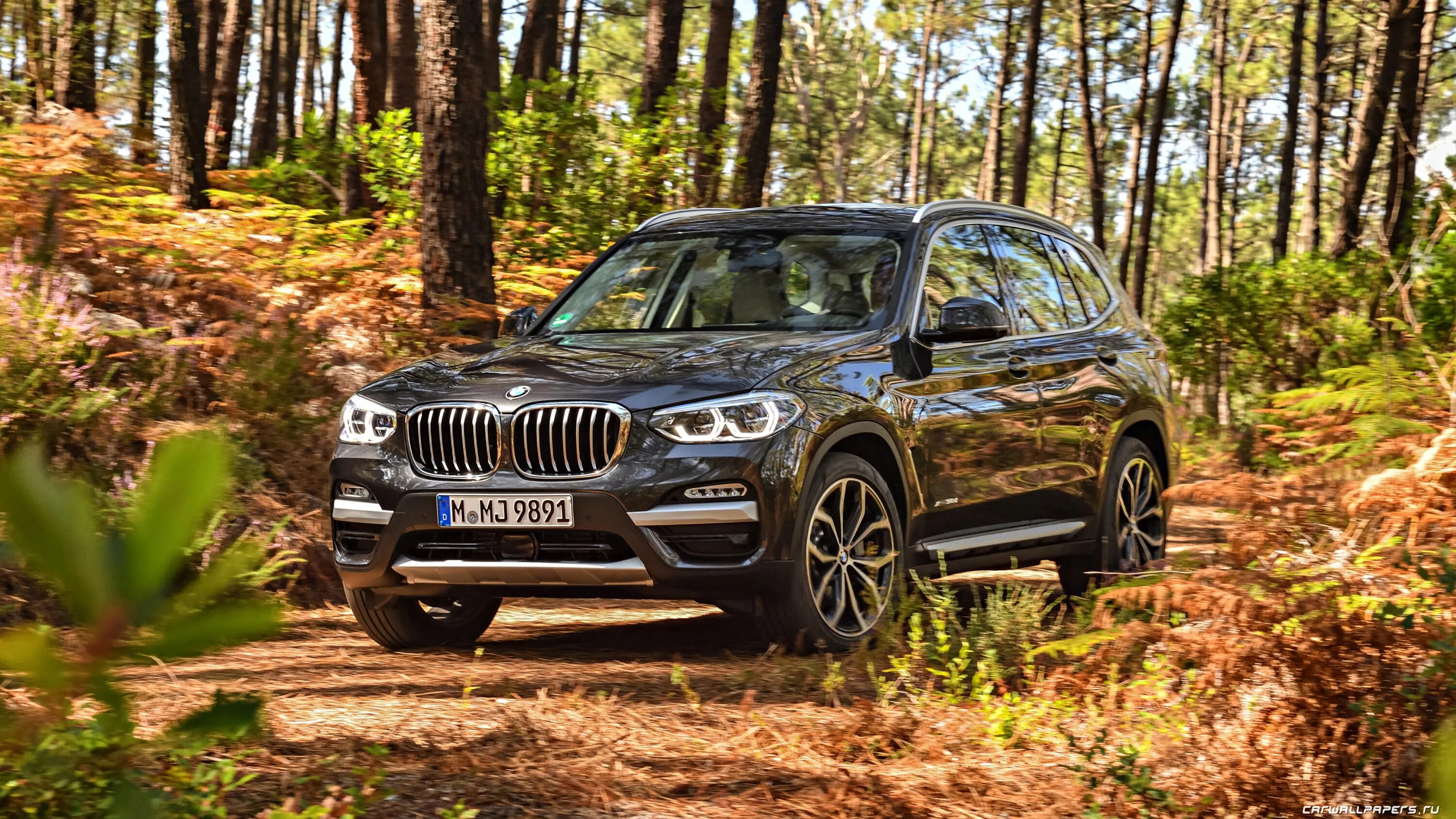 Бмв х3 30d. Bmw x3. bmw x3 30d. бмв х3 g01. bmw x3 g01 2022.