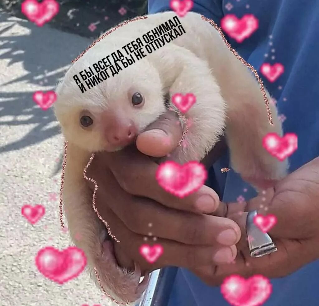 Счастье это я. Открытки с поцелуями. Смущенный котик. Милый тебя послать. Любимый девушки открытку.