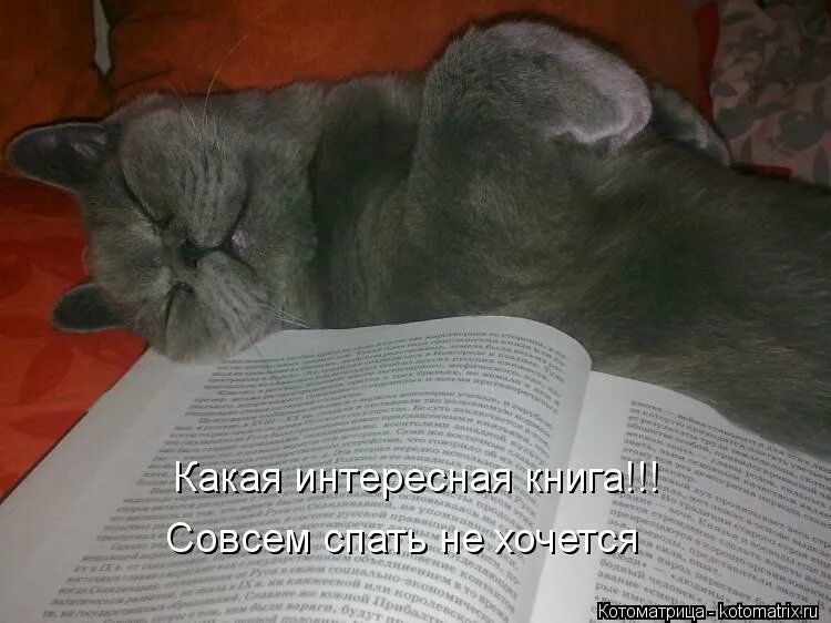 люди которые не спят мем. встаёшь и темнеет в глазах. кличко про сон мем. сегодня лягу спать пораньше эта шутка. когда завтра сессия.