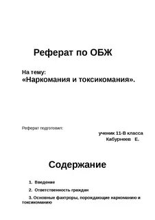 Образец реферата по обж
