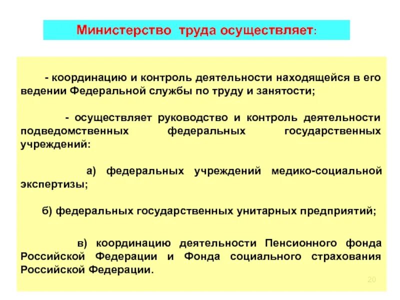 Осуществляют контроль деятельности федеральных служб