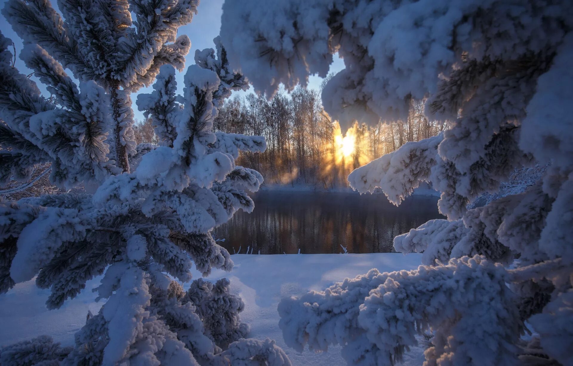 4 декабря снег. Зимний лес. Зимняя природа. Сказочный зимний лес. Красивая зима.