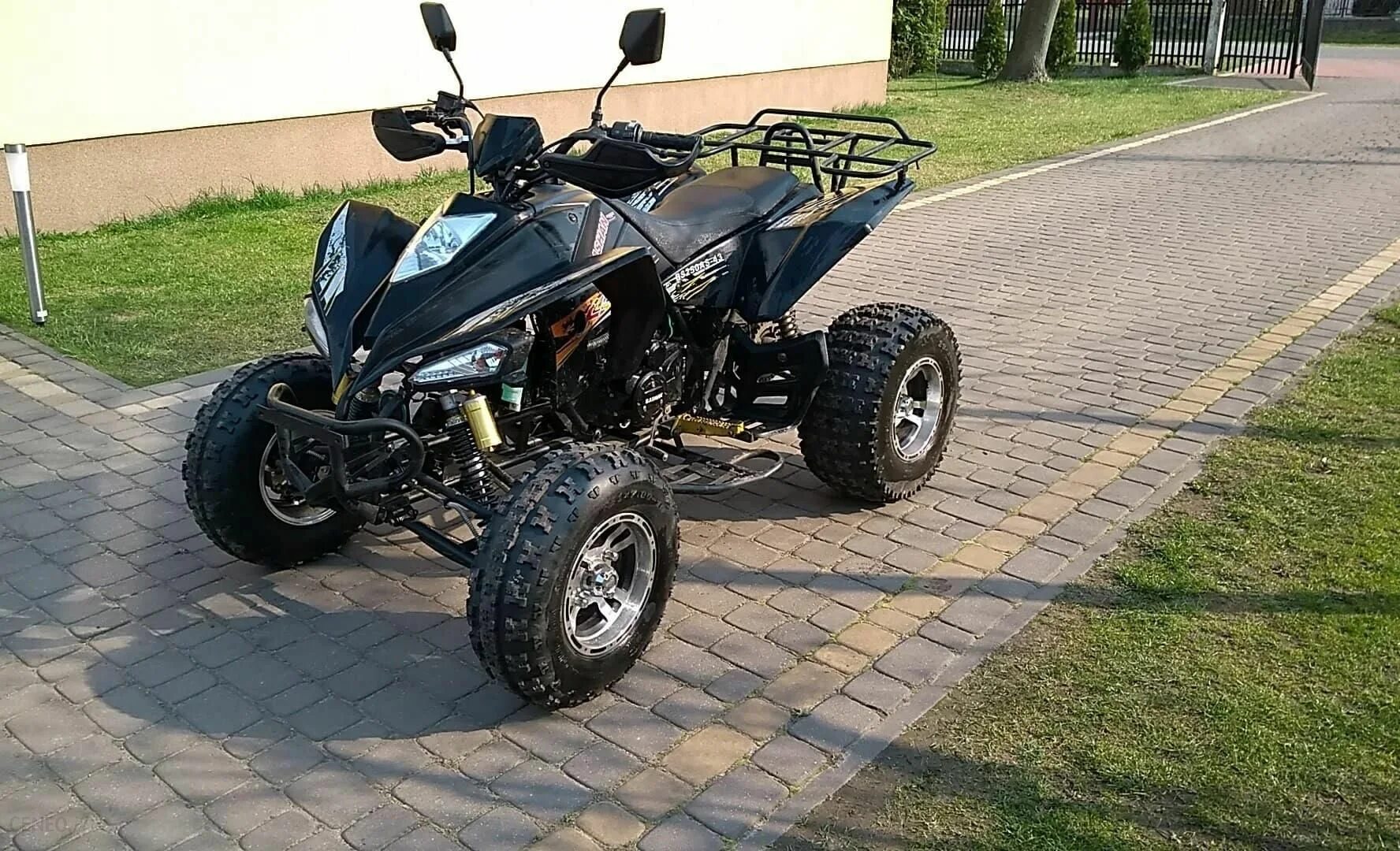 Купить квадроцикл башан. Квадроцикл Башан 250. Башан 250 куб. Квадроцикл Bashan 200. Boss atv 250 Bashan.