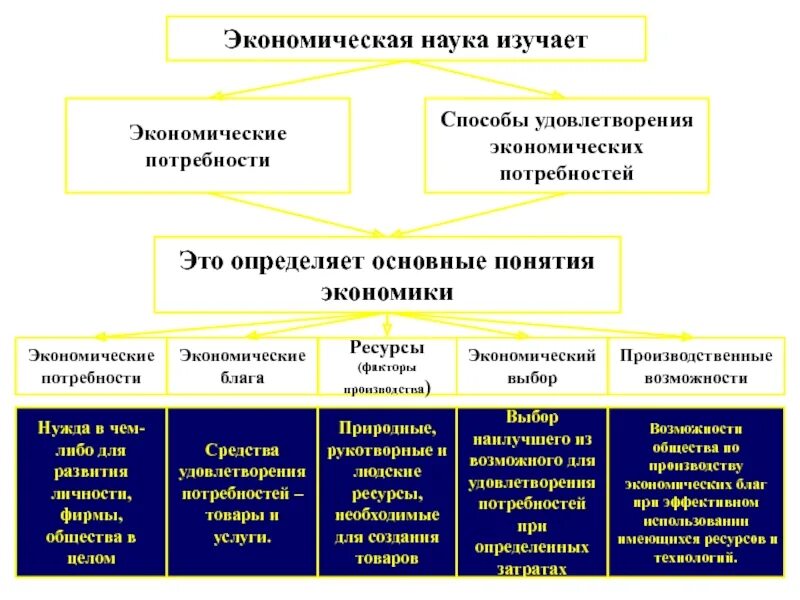 Виды экономики как науки. Экономика как наука. Экономическая наука. Экономика как наука и хозяйство. Экономика как наука и как хозяйство.