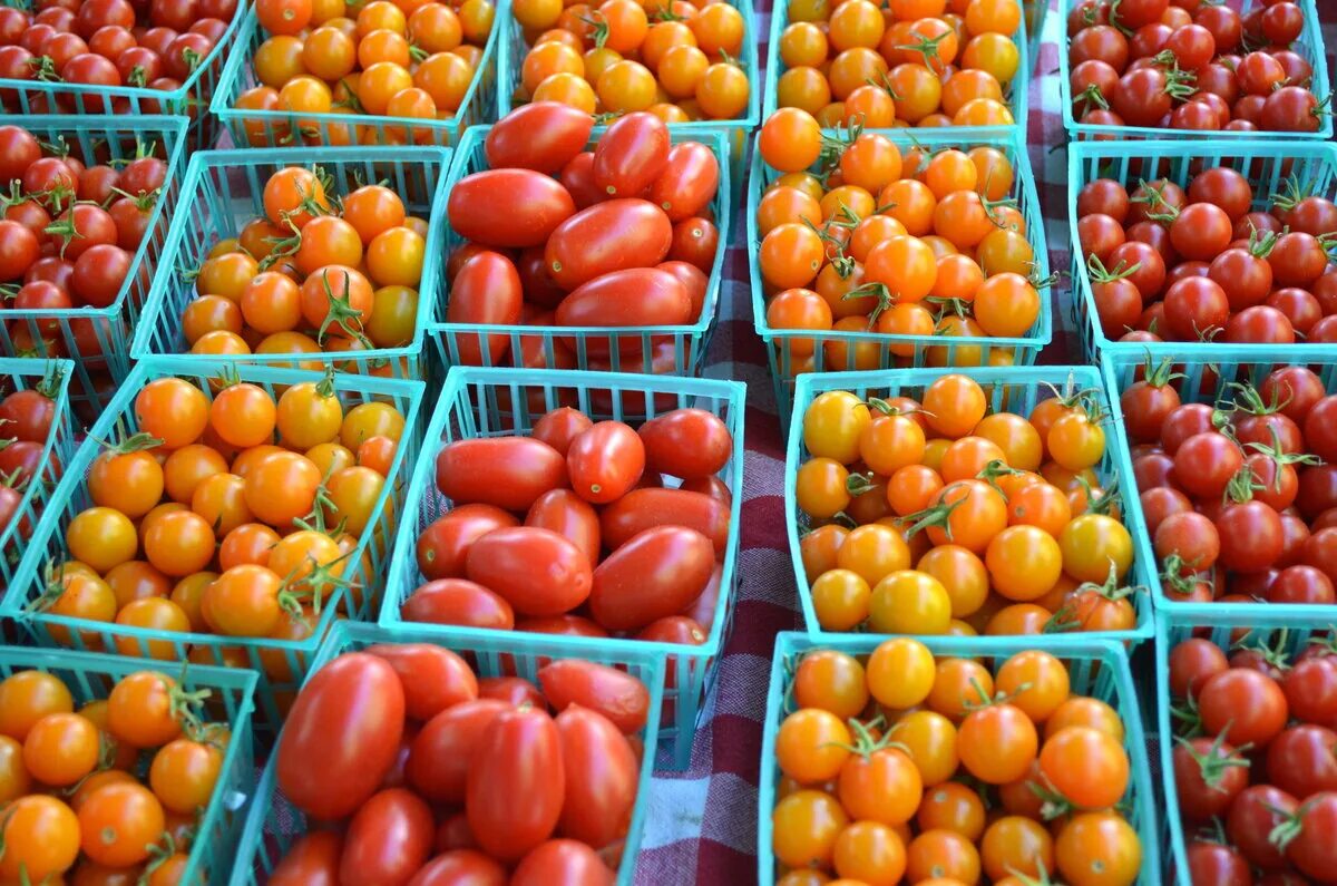 Сколько стоит помидоры в магазинах. Сербия рынок помидоры. Помидоры Мамут. Помидоры на прилавке. Томаты на рынке.