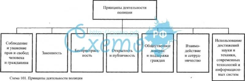 На какой основе полиция осуществляет свою деятельность