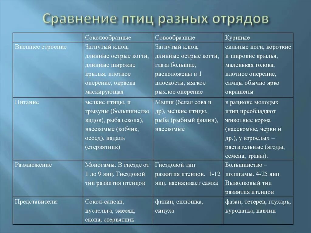 Отряды птиц кратко. Таблица птицы 7 класс биология отряды птиц. Биология 7 кл отряды птиц таблица. Характеристика отрядов птиц. Сравнительная характеристика отрядов птиц.