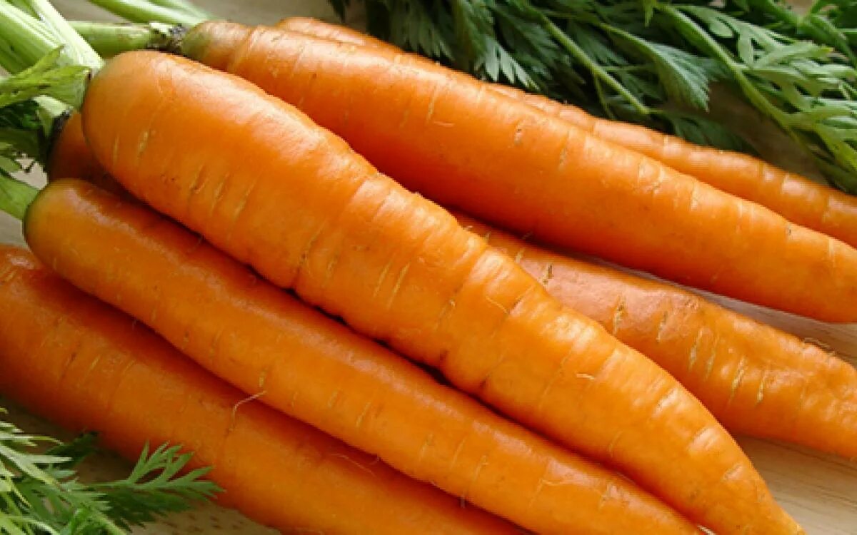 Морковь нандрин. Семена. Морковь "Сластена". Семена морковь "Сластена", 2 г.