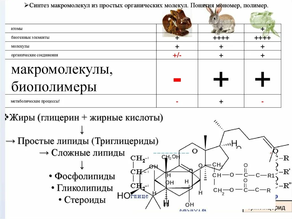 Мономеры органических молекул. Органические мономеры и полимеры. Понятия мономеры и полимеры. Глицерин полимер. Мономеры и полимеры примеры.