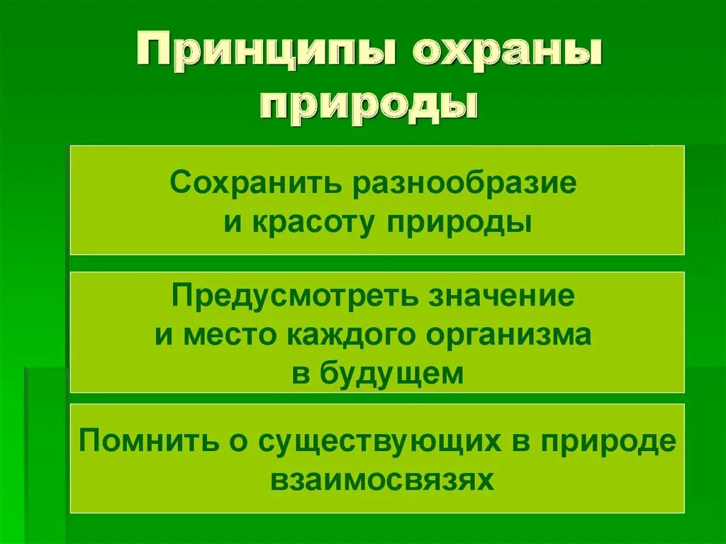 Основные принципы охраны природы