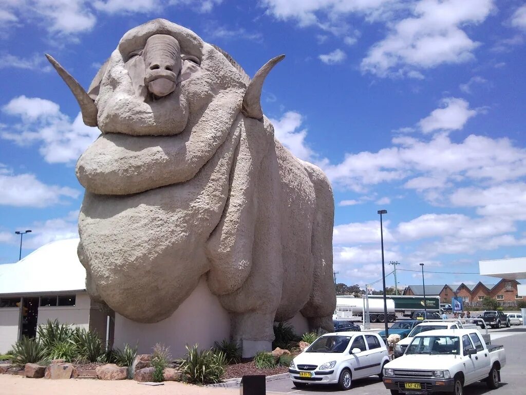 Многометровые статуи Австралии. Памятник мериносу в Австралии. Big Merino статуя. Большой меринос в Австралии. В виде громадного