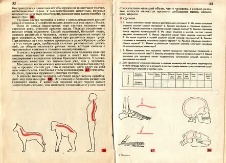 Учебник анатомии 8 класс читать