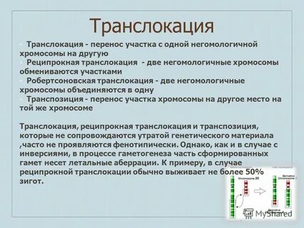 Транспозиция хромосом