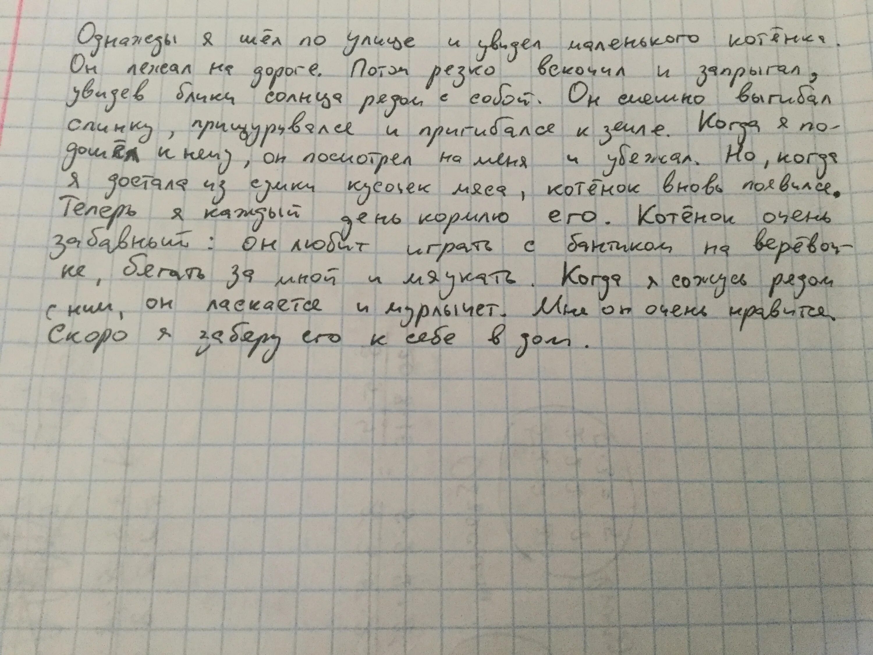 Придумать сочинение. Выдуманное сочинение. Сочинение на тему забавный котенок.