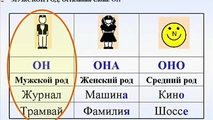 Вопросы мужского и женского рода. Род в русском языке для иностранцев. Русский язык род имен существительных. Мужской женский средний род. Рода в русском языке таблица для иностранцев.