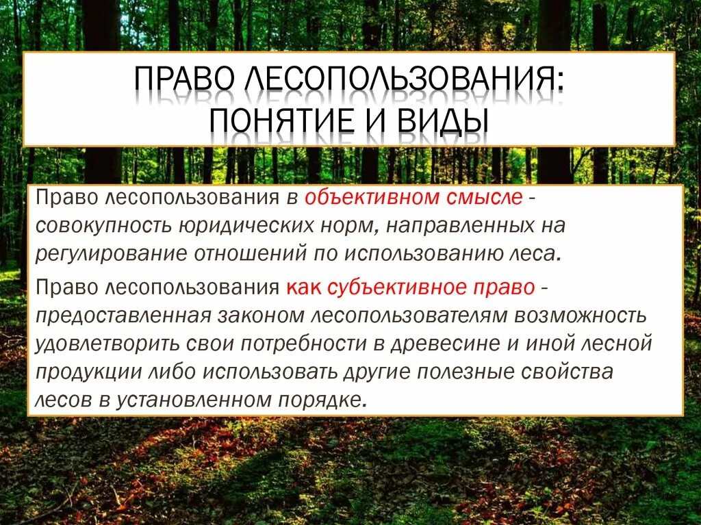 Организация использования лесов. Аиды оесоиспользования. Лесопользование. Право лесопользования виды. Лесопользование презентация.