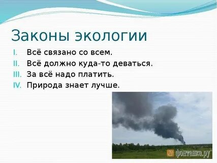 Все связано со всем экология примеры