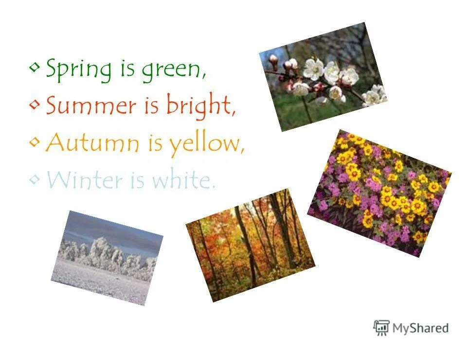 стих по английскому spring is green. Spring is green yellow. Spring is green summer is bright для интерактивной тетради. стихотворение spring is green summer is bright. стих spring is green summer is bright autumn is yellow winter is white.