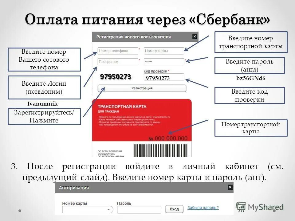 Ввести код пополнения. Номер транспортной карты. Номер транспортной карты на социальной. Транспортная карта номер карты. Номер транспортной карты москвича.