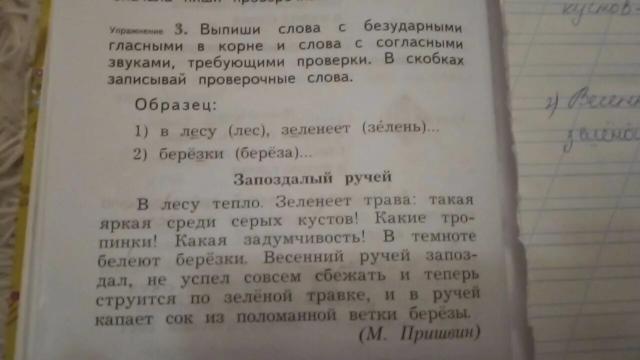 Выпишите слова с двумя корнями. Слова с согласными звуками требующими проверки. Запоздалый ручей выпиши слова. Запоздалый ручей 2 класс русский язык. Запоздалый ручей Найди и исправь ошибки.