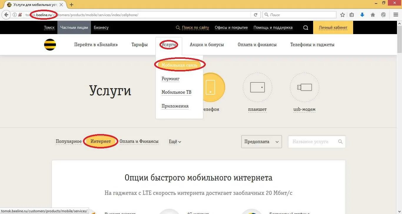 Как отключить платные услуги. Билайн отключить на время. Отключения интернета билайн на телефоне. Как подключить роуминг на билайне. Как отключить платные услуги на билайн.