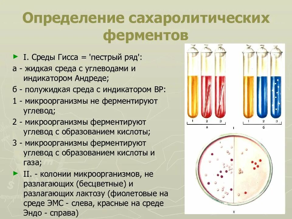 Сахаролитические свойства бактерий. Среда Гисса микробиология. Питательные среды Гисса. Пестрый ряд Гисса для бактерий. Состав питательной среды Гисса.