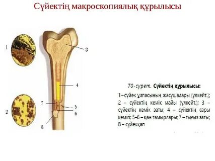 Брянсктегі жеке порно