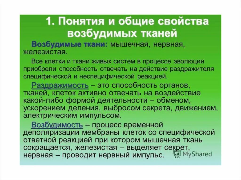 Общее свойство нервной и мышечной. Понятие о возбудимых тканях. Основные свойства возбудимых тканей. Возбудимые ткани физиология. Общие свойства возбудимых тканей физиология.