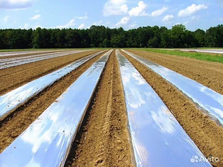 Пленка светлица мульчирующая грунт 60 мкм полотно 1. Пленка для мульчирования. Агроткань на грядках. (черная) /светлица. Пленка для мульчирования.