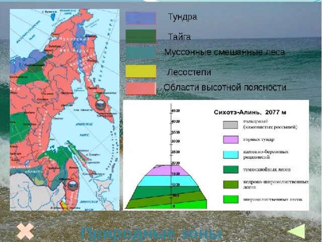 Дальний восток какой природный район