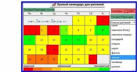 Благоприятные дни для посадки чеснока в ноябре
