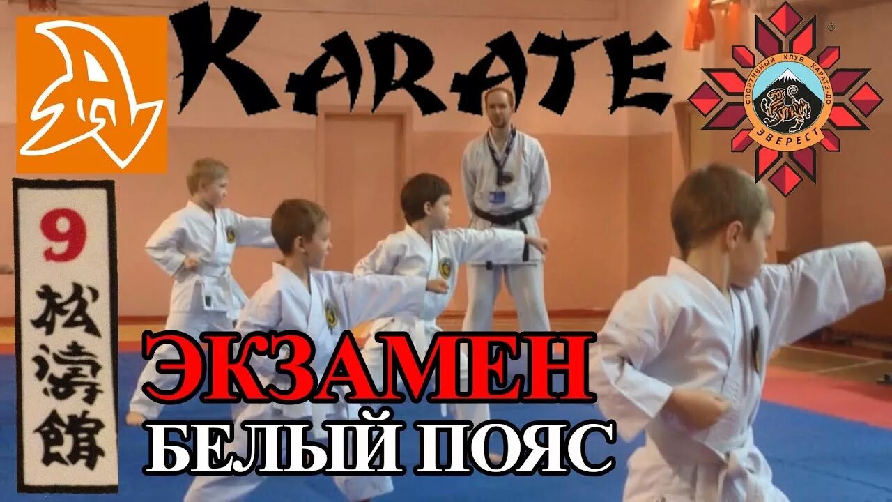 Карате экзамены. Оранжевый пояс по карате экзамен. Карате белгород. Карате экзамены. Кихон каратэ киокушинкай.