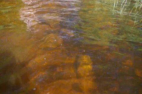 Вода желтоватого оттенка