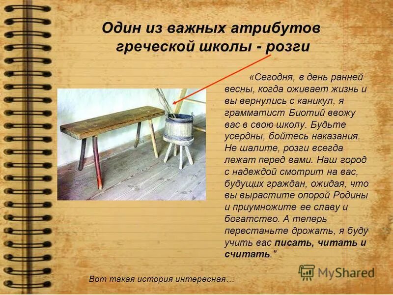 Где куда откуда это союзные слова. Значение слова быстро. Русский язык в котах. Откуда слово быстро. Откуда произошло слово.