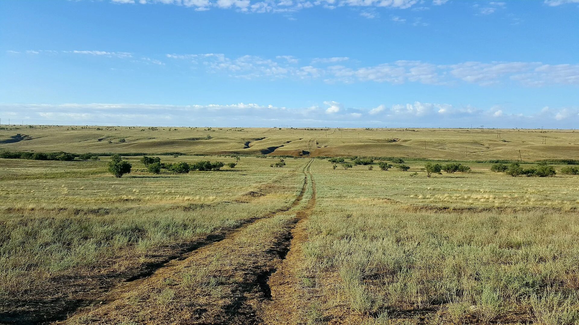 финайкинская тюльпанная степь. муганская степь калмыкия. богдинско-баскунчакский заповедник тюльпан шренка. опустынивание в калмыкии черные земли. граница калмыкии и волгоградской области.