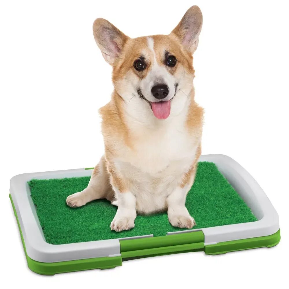 Туалет Puppy Potty Pad. Туалет для животных с антибактериальной травкой wikilab Pet Potty. Savic лоток туалет Puppy Trainer. Лоток туалет для чихуа. Лотки для мелких пород